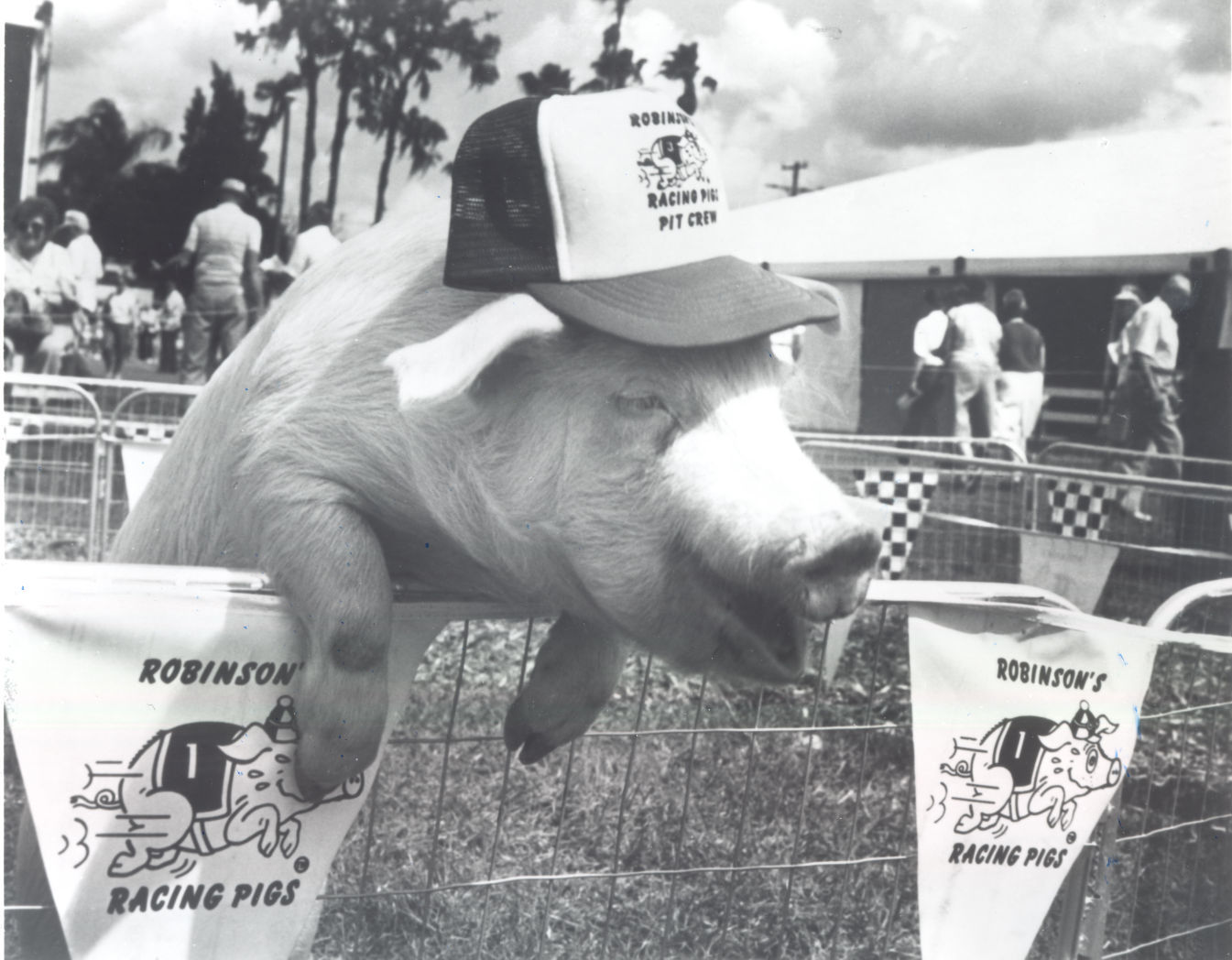 Salem Fair